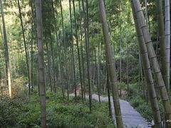 -山沟沟景区