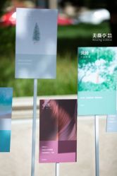 点击看大图 -美薇亭婚礼顾问