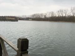 -溱湖国家湿地公园