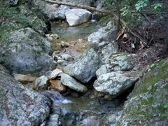 -祁门牯牛降观音堂风景区