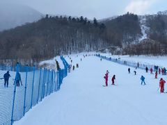 -亚布力新体委滑雪场
