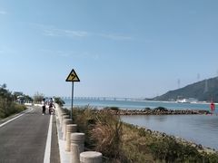 -芒洲湿地公园