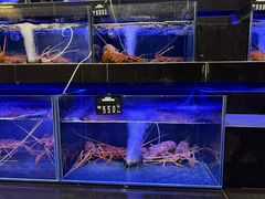 -真浪花园海鲜餐馆