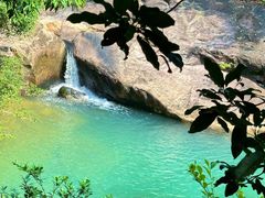 -广州白江湖森林公园