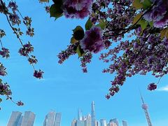 -北外滩滨江绿地