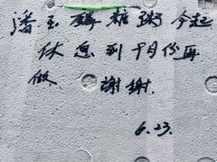 -潘玉麟糖粥