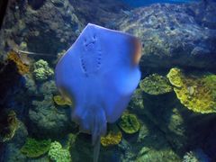 -福州罗源湾海洋世界旅游区