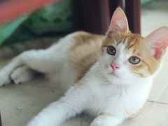 -芭比堂动物医院广州顽皮分院