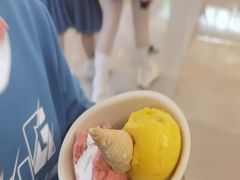 -极拉图·现制冰淇淋(大卫城店)