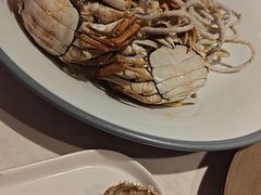 -杨氏青龙虾·羊蝎子(托乐嘉店)