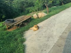 -西安秦岭野生动物园