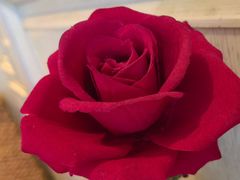 -妈妈菜舟山海鲜(定海古城店)