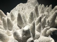 -福州罗源湾海洋世界旅游区