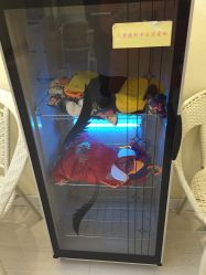 -Happy Baby Studio快乐宝贝儿童摄影