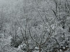 -秦岭终南山世界地质公园翠华山景区