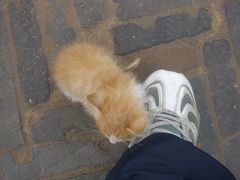 DSCI3238-榆次老城