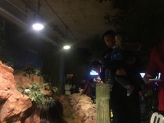 -洛阳龙门海洋馆