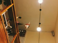 -长颈鹿咖啡(大学路店)