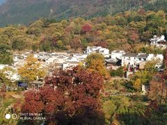 -塔川景区