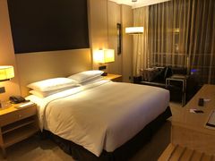 -上海漕河泾万丽酒店