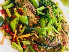 -生态苑农庄(十里画廊遇龙河店)