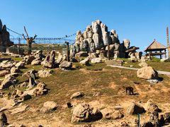 -石家庄市动物园