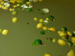 -天目湖涵田半山温泉