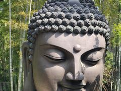 -杭州植物园