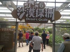 -世界地热博览园