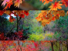 -九如山休闲旅游度假区