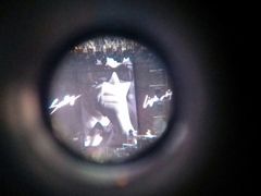 -华中科技大学光谷体育馆