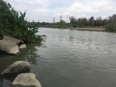 -九里河湿地公园