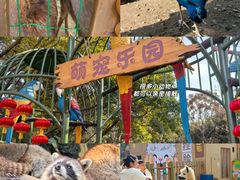 -成都欢乐谷