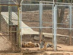 -青藏高原野生动物园