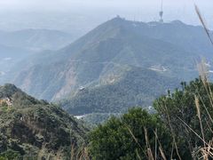 -梧桐山风景名胜区