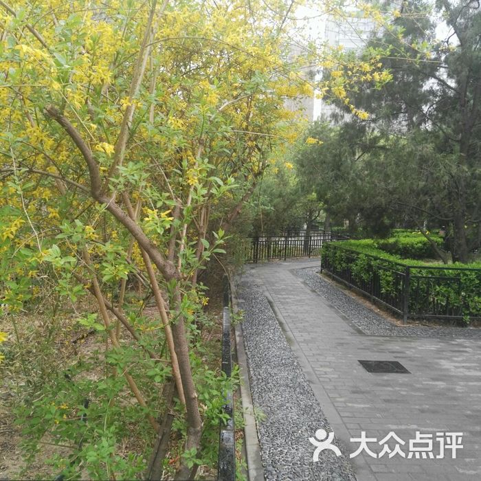 安贞社区街心公园