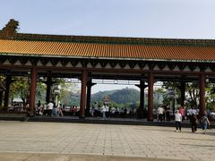 -顺峰山公园