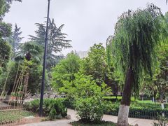 -西安市纺织公园