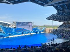 -上海海昌海洋公园