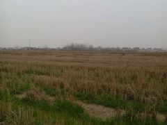 android_upload_pic-咸宁温泉谷大酒店