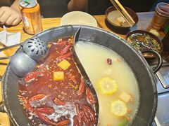 -阳阳老火锅(小南门店)