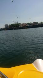 -星海水上乐园(星海广场圣亚店)