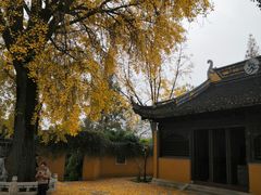 -苏州上方山国家森林公园