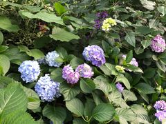 -常州古运河南大街文化旅游区-人民公园