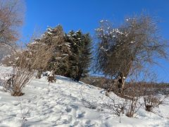 -太子岭滑雪场