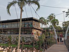 -东芭乐园