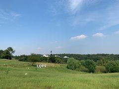 -大塘金香草谷
