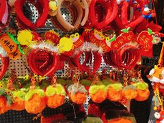 -越秀西湖花市(广州城市广场花卉店)