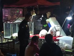 -中环花鸟鱼虫市场