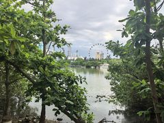 -万绿园